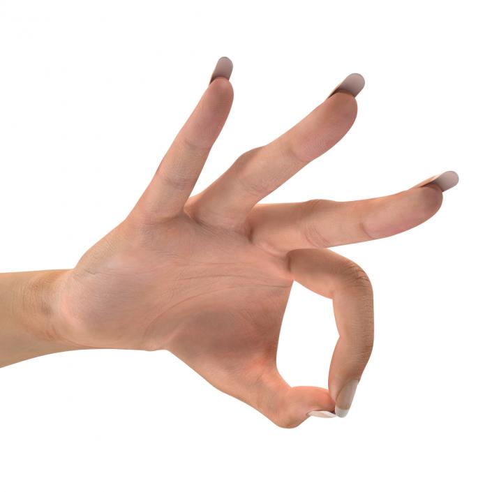 3D model Female Hand 2 Rigged