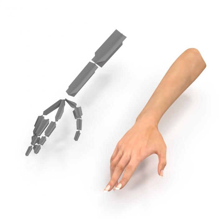 3D model Female Hand 2 Rigged