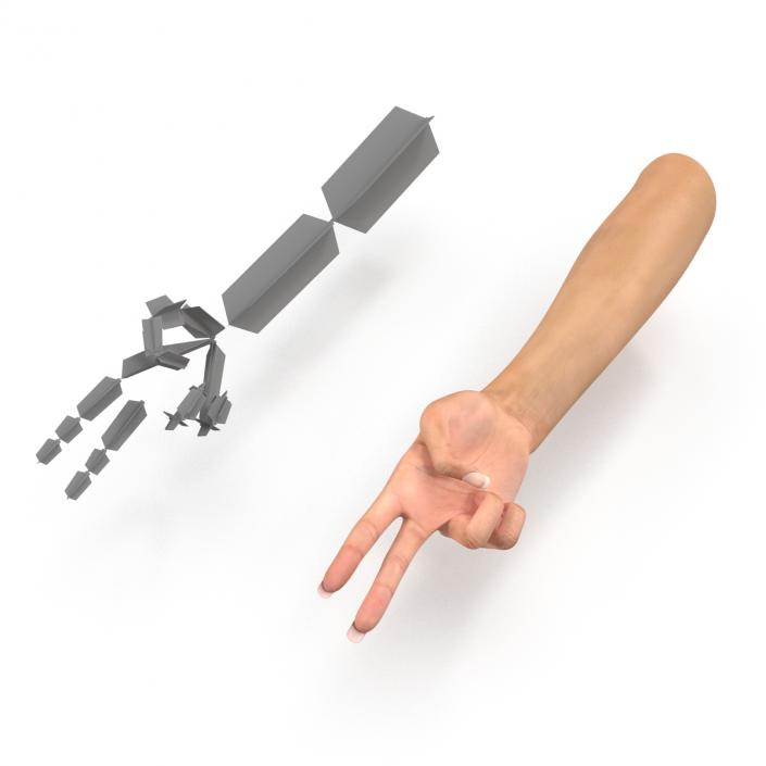 3D model Female Hand 2 Rigged