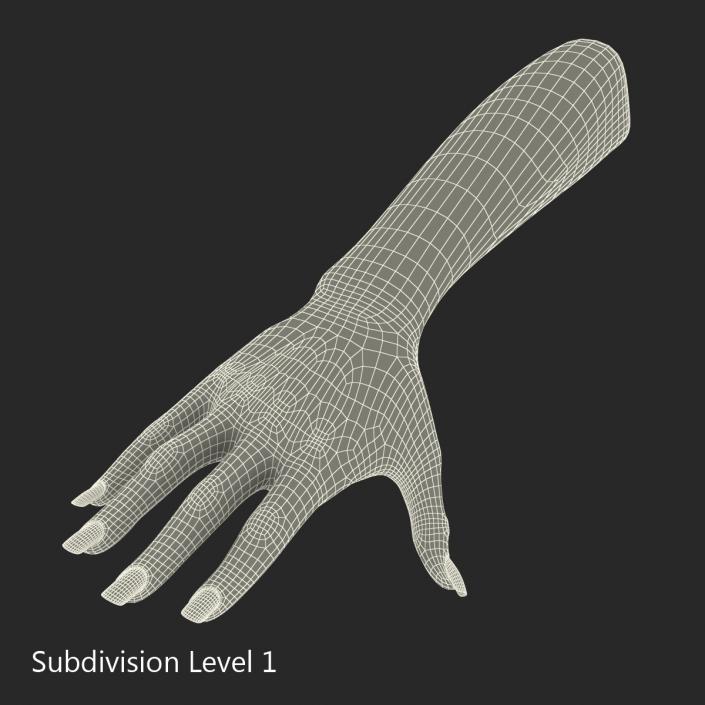 3D model Female Hand 2 Rigged