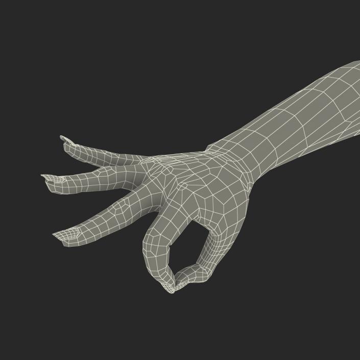 3D model Female Hand 2 Rigged