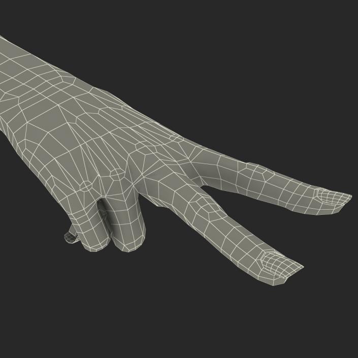 3D model Female Hand 2 Rigged