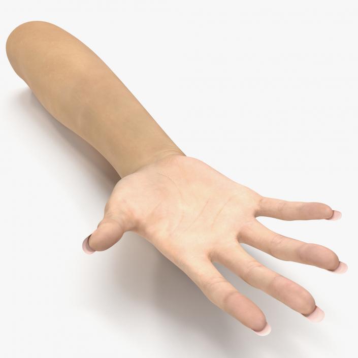 3D Rigged Hands Collection model