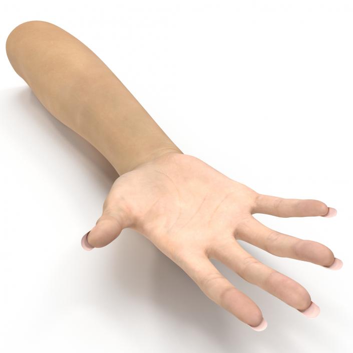 3D model Female Hand 3 Rigged