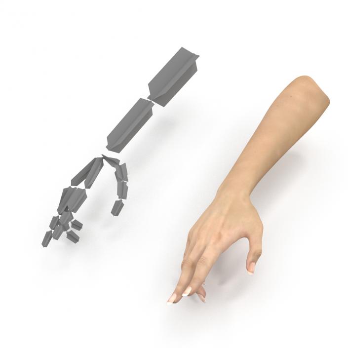 3D model Female Hand 3 Rigged