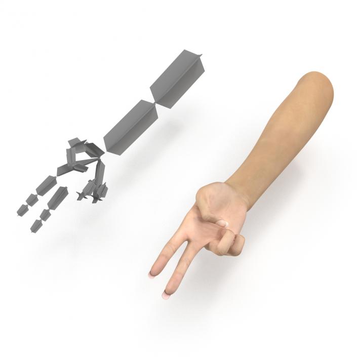 3D model Female Hand 3 Rigged