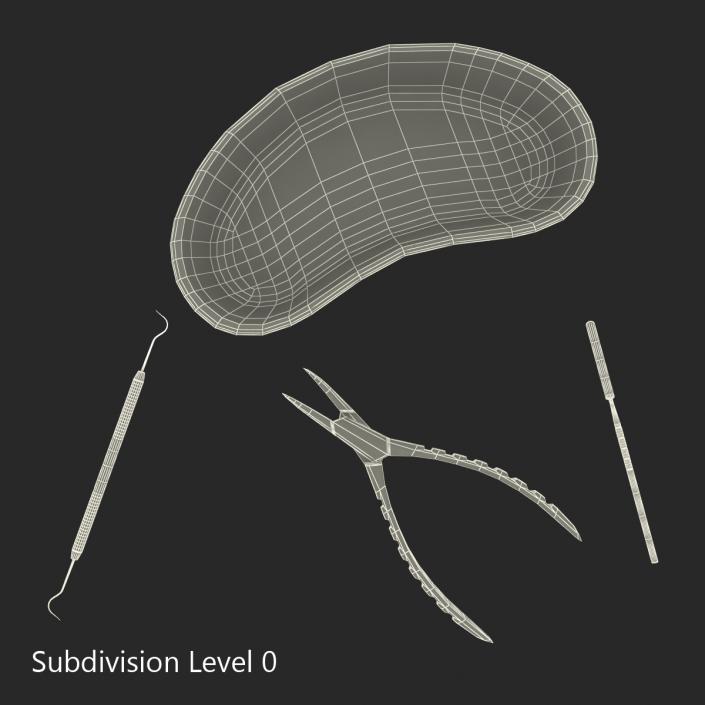 3D model Kidney Bowl and Equipment