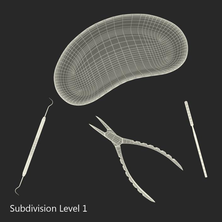 3D model Kidney Bowl and Equipment