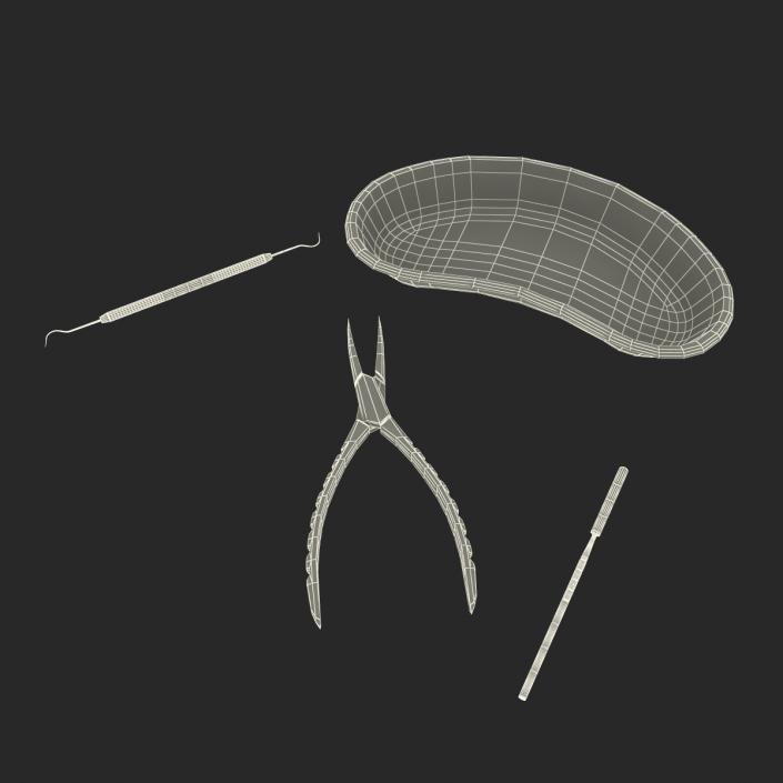 3D model Kidney Bowl and Equipment