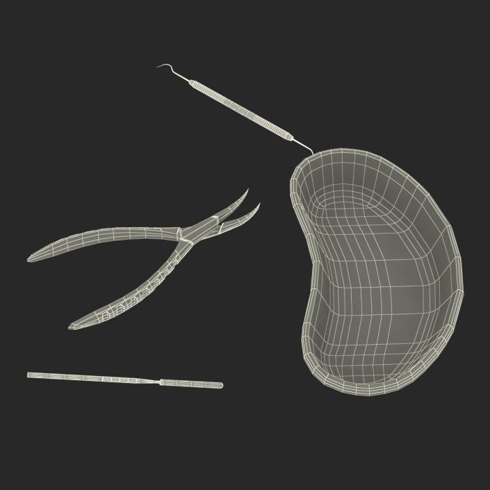 3D model Kidney Bowl and Equipment