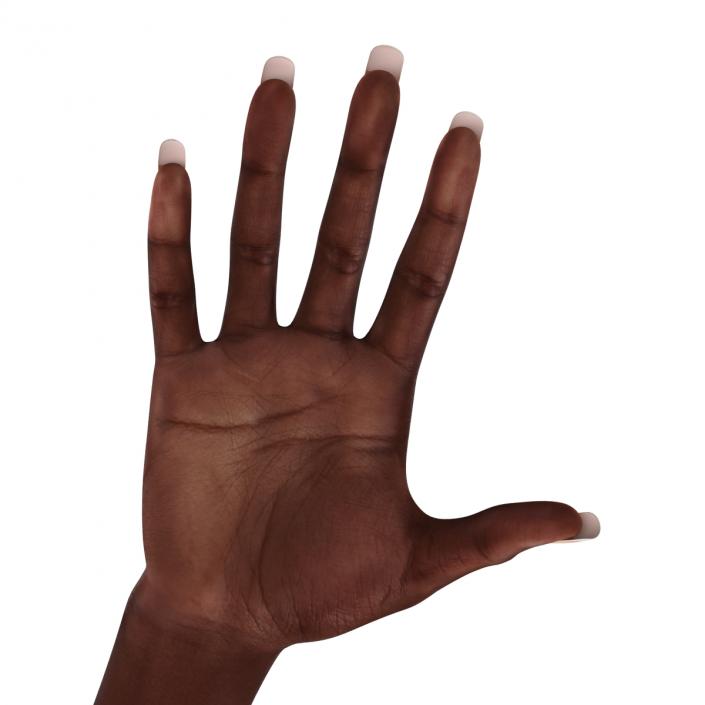 3D model Female Hand African American 2