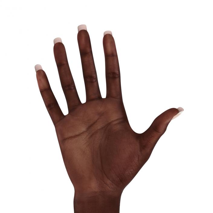 3D model Female Hand African American 2