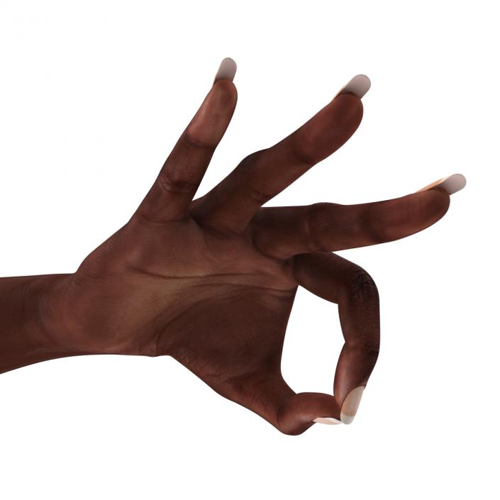 Female Hand African American 2 Pose 4 3D