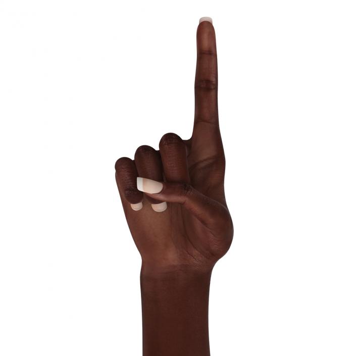 Female Hand African American 2 Pose 5 3D