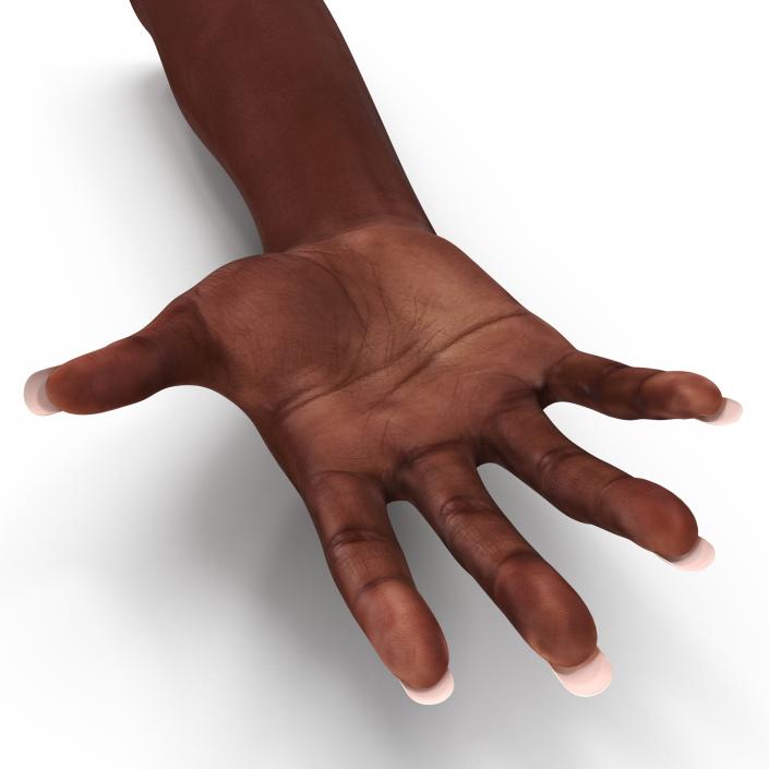 Female Hand African American 2 Rigged 3D