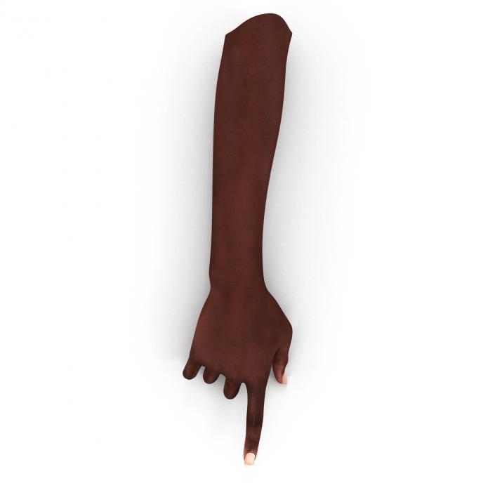 Female Hand African American 2 Rigged 3D