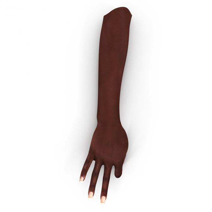 Female Hand African American 2 Rigged 3D