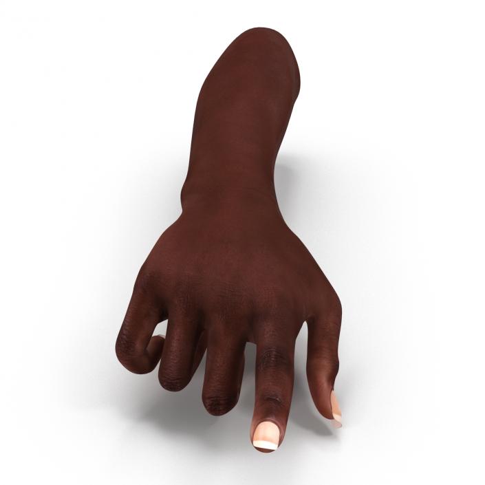 Female Hand African American 2 Rigged 3D