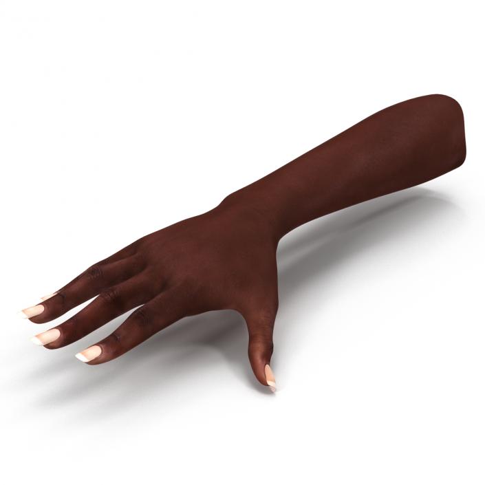 Female Hand African American 2 Rigged 3D