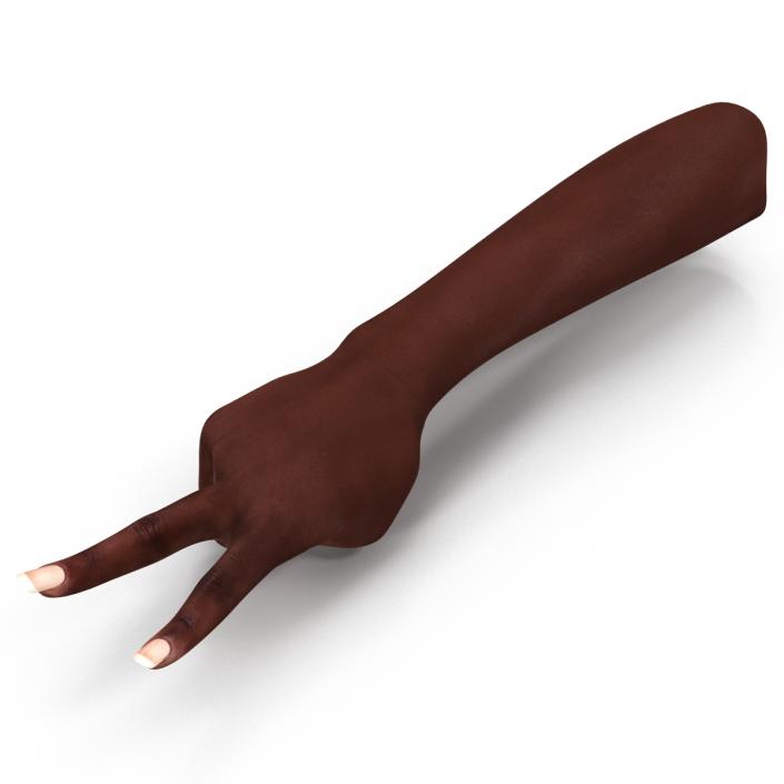 Female Hand African American 2 Rigged 3D