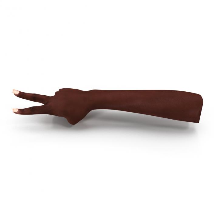 Female Hand African American 2 Rigged 3D