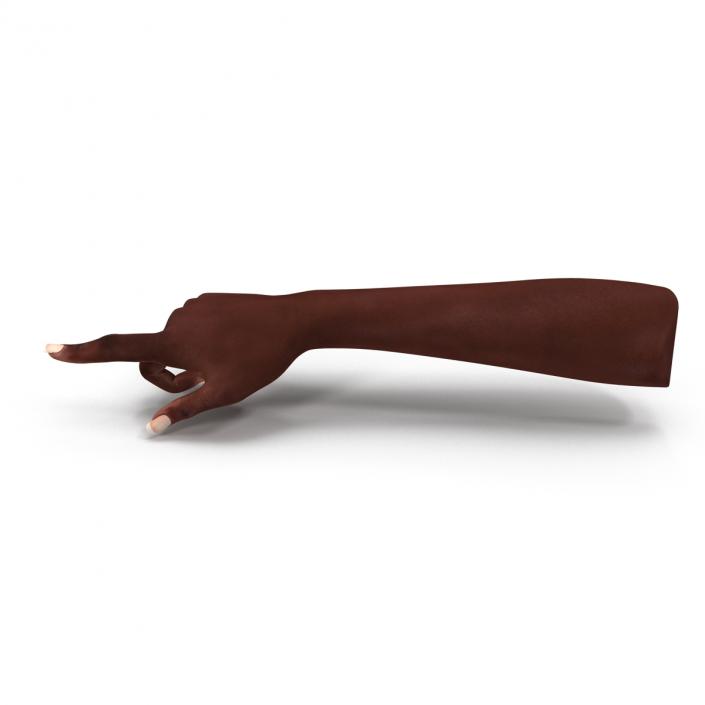 Female Hand African American 2 Rigged 3D