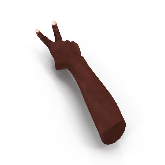 Female Hand African American 2 Rigged 3D