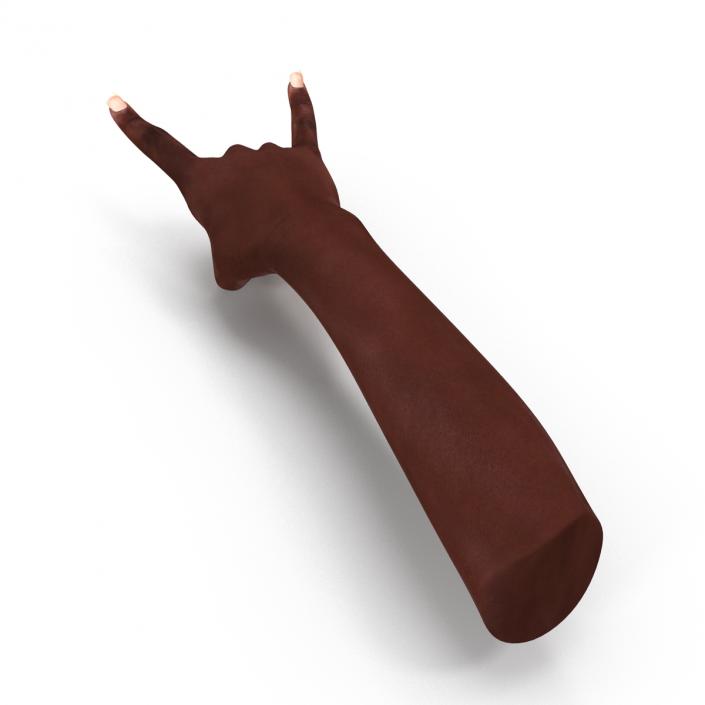 Female Hand African American 2 Rigged 3D