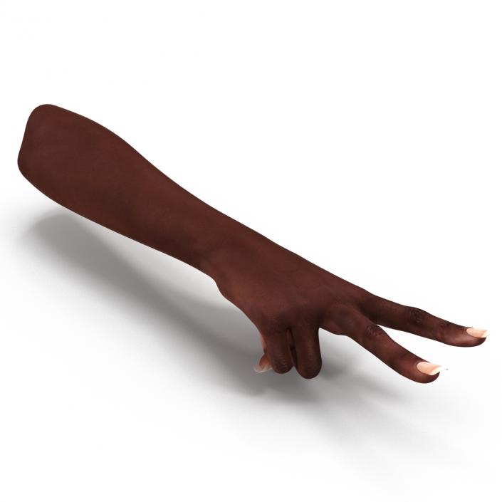 Female Hand African American 2 Rigged 3D