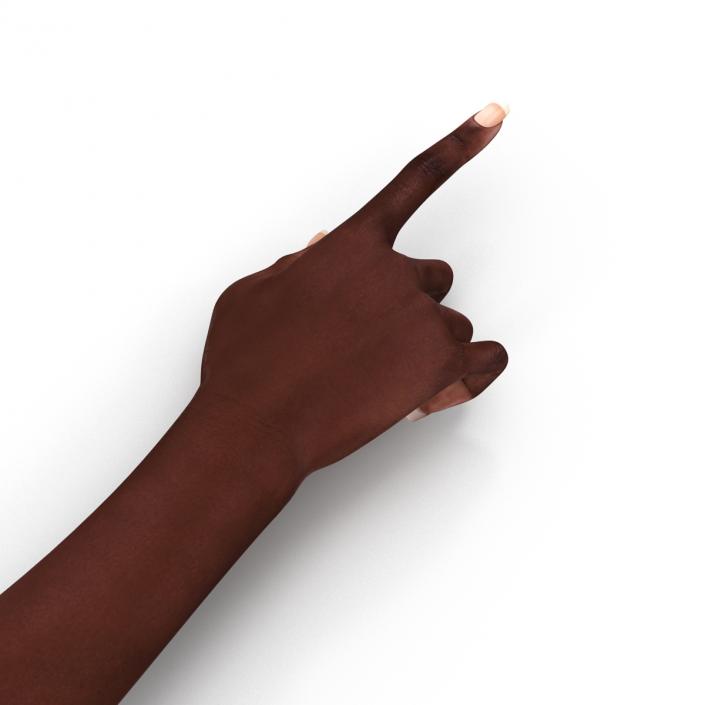 Female Hand African American 2 Rigged 3D