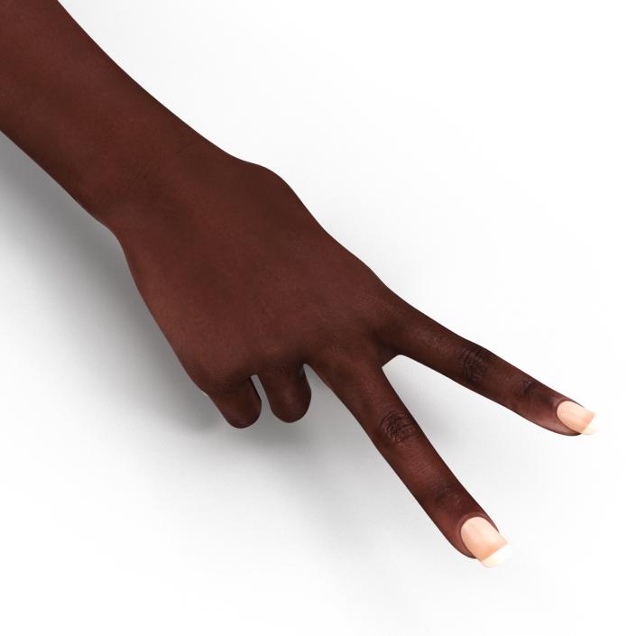 Female Hand African American 2 Rigged 3D