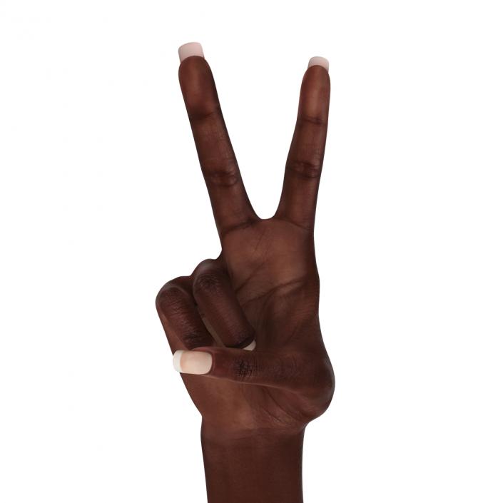 Female Hand African American 2 Rigged 3D