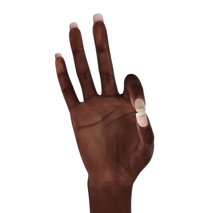 Female Hand African American 2 Rigged 3D