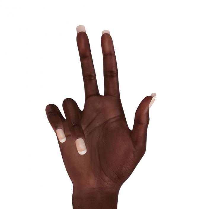 Female Hand African American 2 Rigged 3D