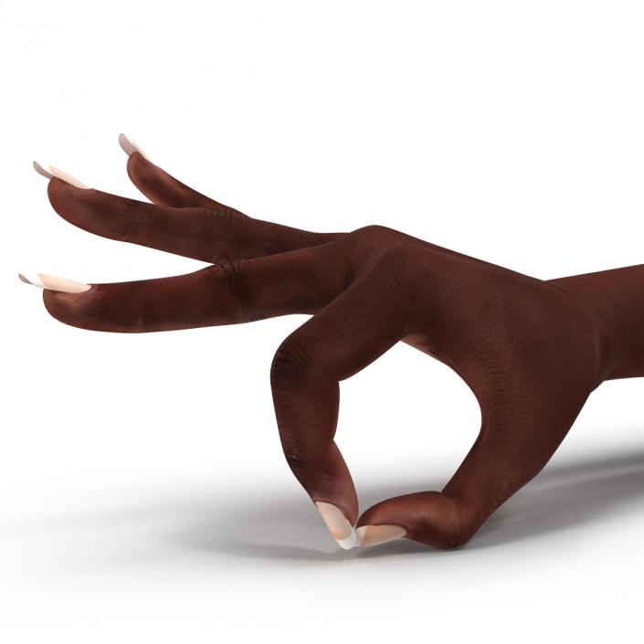 Female Hand African American 2 Rigged 3D