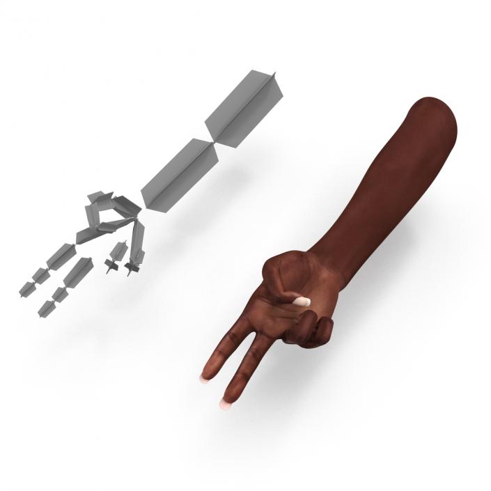 Female Hand African American 2 Rigged 3D