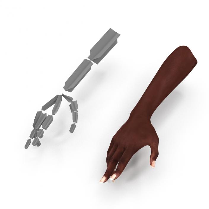 Female Hand African American 2 Rigged 3D