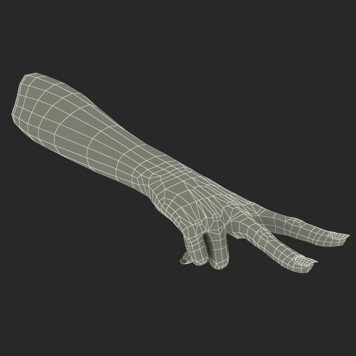 Female Hand African American 2 Rigged 3D