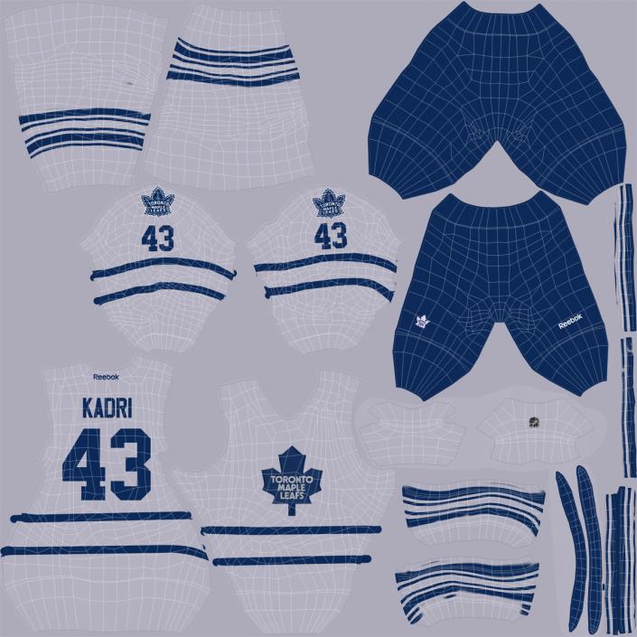 3D Hockey Equipment Toronto Maple Leafs