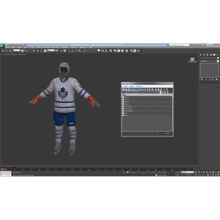 3D Hockey Equipment Toronto Maple Leafs