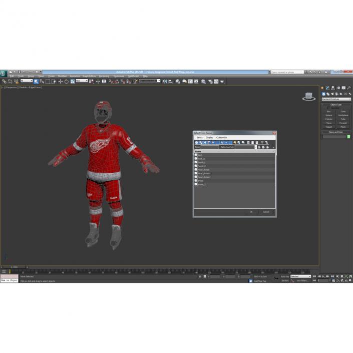 Hockey Equipment Detroit Red Wings 3D model