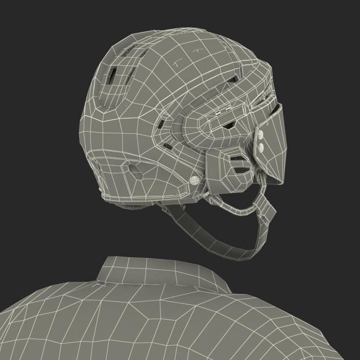 Hockey Equipment Detroit Red Wings 3D model