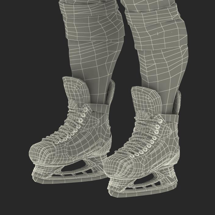 Hockey Equipment Detroit Red Wings 3D model