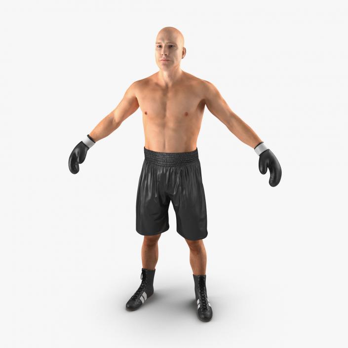 Adult Boxer Man 2 3D