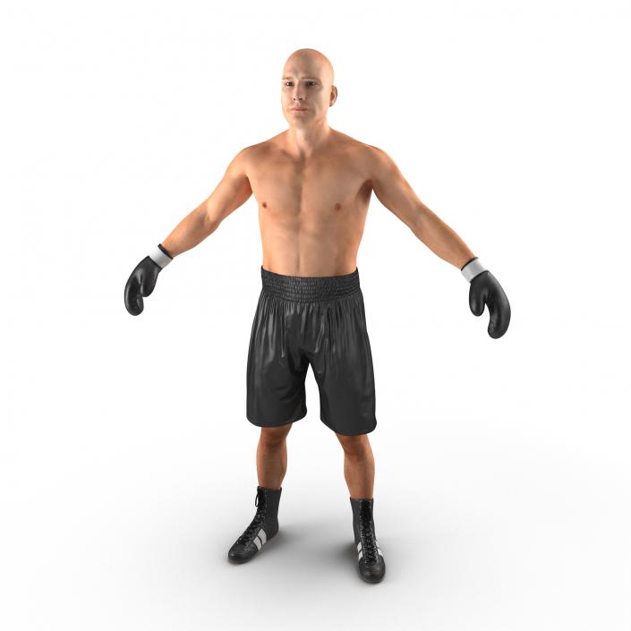 Adult Boxer Man 2 3D