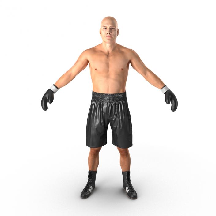 Adult Boxer Man 2 3D