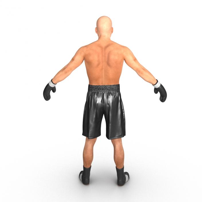 Adult Boxer Man 2 3D