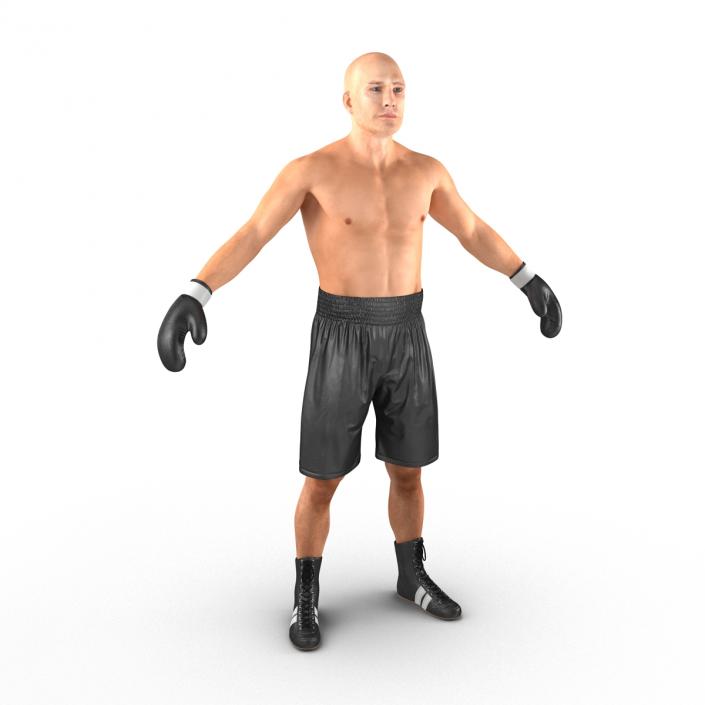 Adult Boxer Man 2 3D