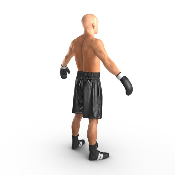 Adult Boxer Man 2 3D