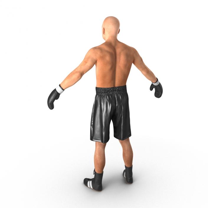 Adult Boxer Man 2 3D